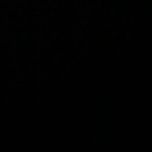 Meet your Posher, Bo